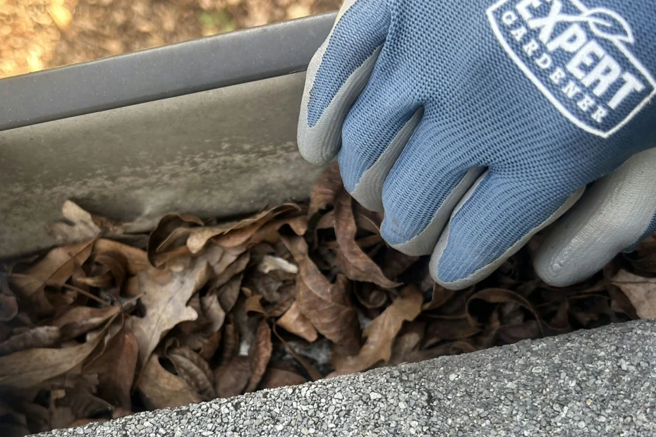 Gutter Cleaning Amherst